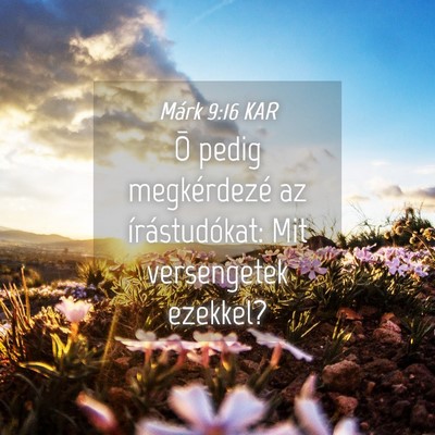Picture 04 - Márk 9:16 KAR - Õ pedig megkérdezé az írástudókat: Mit - Bible Verse Picture