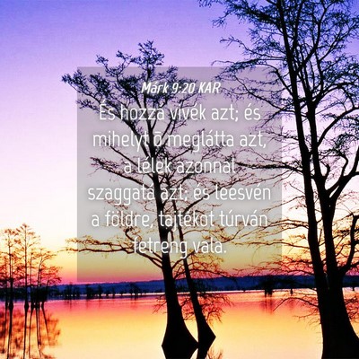 Picture 04 - Márk 9:20 KAR - És hozzá vivék azt; és mihelyt õ meglátta - Bible Verse Picture