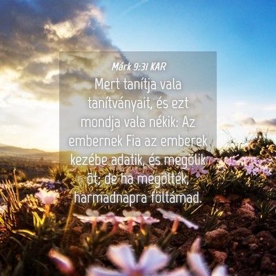 Picture 04 - Márk 9:31 KAR - Mert tanítja vala tanítványait, és ezt mondja - Bible Verse Picture