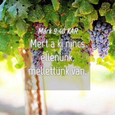 Picture 04 - Márk 9:40 KAR - Mert a ki nincs ellenünk, mellettünk - Bible Verse Picture