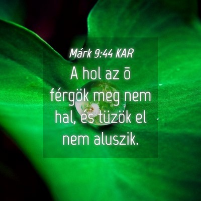 Picture 04 - Márk 9:44 KAR - A hol az õ férgök meg nem hal, és tüzök el - Bible Verse Picture