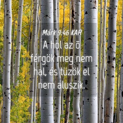 Picture 04 - Márk 9:46 KAR - A hol az õ férgök meg nem hal, és tüzök el - Bible Verse Picture