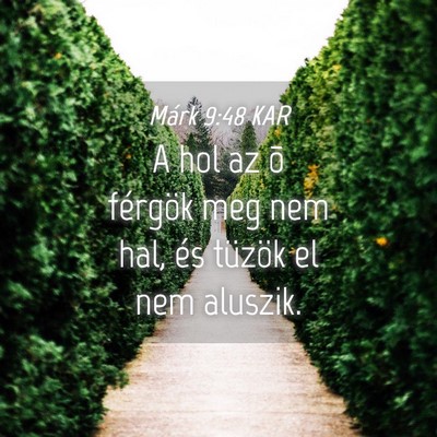 Picture 04 - Márk 9:48 KAR - A hol az õ férgök meg nem hal, és tüzök el - Bible Verse Picture