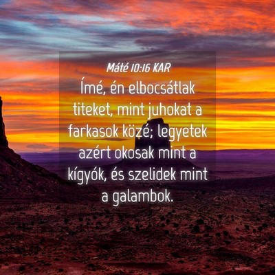 Picture 04 - Máté 10:16 KAR - Ímé, én elbocsátlak titeket, mint juhokat a - Bible Verse Picture