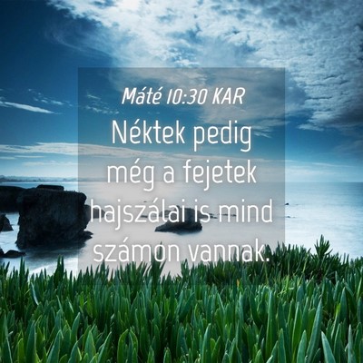 Picture 04 - Máté 10:30 KAR - Néktek pedig még a fejetek hajszálai is mind - Bible Verse Picture
