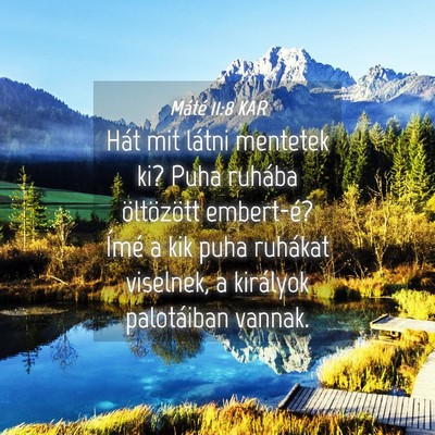 Picture 04 - Máté 11:8 KAR - Hát mit látni mentetek ki? Puha ruhába - Bible Verse Picture