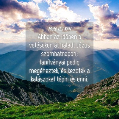 Picture 04 - Máté 12:1 KAR - Abban az idõben a vetéseken át haladt Jézus - Bible Verse Picture