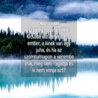 Picture 04 - Máté 12:11 KAR - Õ pedig monda nékik: Kicsoda közületek az az - Bible Verse Picture