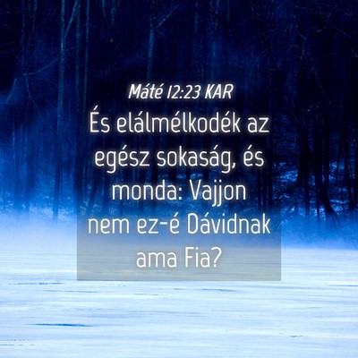 Picture 04 - Máté 12:23 KAR - És elálmélkodék az egész sokaság, és - Bible Verse Picture