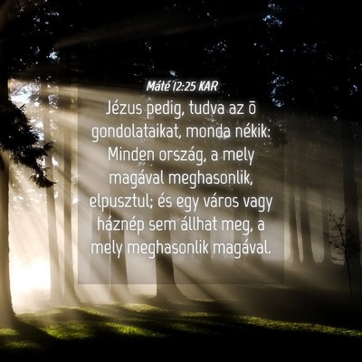 Picture 04 - Máté 12:25 KAR - Jézus pedig, tudva az õ gondolataikat, monda - Bible Verse Picture