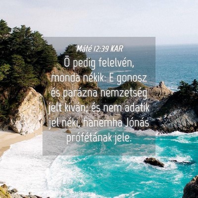 Picture 04 - Máté 12:39 KAR - Õ pedig felelvén, monda nékik: E gonosz és - Bible Verse Picture