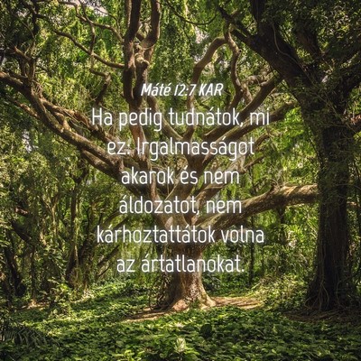 Picture 04 - Máté 12:7 KAR - Ha pedig tudnátok, mi ez: Irgalmasságot akarok - Bible Verse Picture