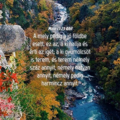 Picture 04 - Máté 13:23 KAR - A mely pedig a jó földbe esett, ez az, a ki - Bible Verse Picture