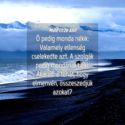 Picture 04 - Máté 13:28 KAR - Õ pedig monda nékik: Valamely ellenség - Bible Verse Picture