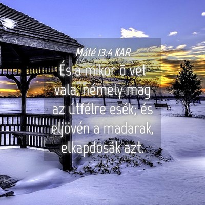 Picture 04 - Máté 13:4 KAR - És a mikor õ vet vala, némely mag az útfélre - Bible Verse Picture