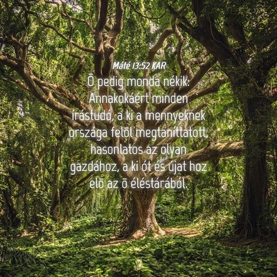 Picture 04 - Máté 13:52 KAR - Õ pedig monda nékik: Annakokáért minden - Bible Verse Picture