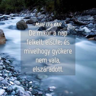 Picture 04 - Máté 13:6 KAR - De mikor a nap felkelt, elsüle; és mivelhogy - Bible Verse Picture