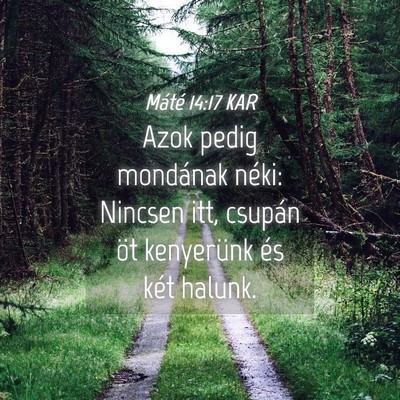 Picture 04 - Máté 14:17 KAR - Azok pedig mondának néki: Nincsen itt, csupán - Bible Verse Picture