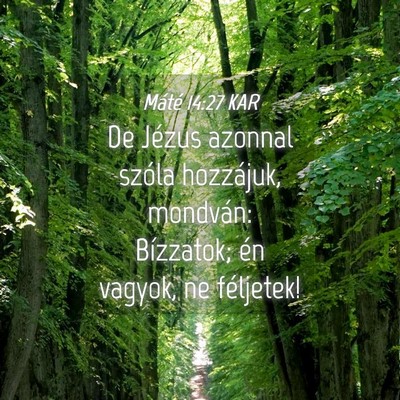 Picture 04 - Máté 14:27 KAR - De Jézus azonnal szóla hozzájuk, mondván: - Bible Verse Picture