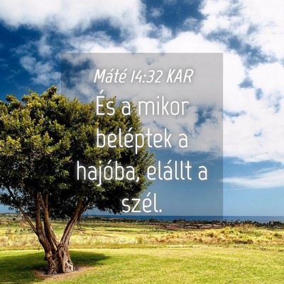 Picture 04 - Máté 14:32 KAR - És a mikor beléptek a hajóba, elállt a - Bible Verse Picture