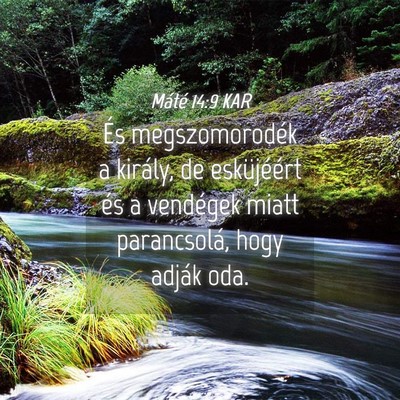 Picture 04 - Máté 14:9 KAR - És megszomorodék a király, de esküjéért és - Bible Verse Picture