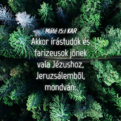 Picture 04 - Máté 15:1 KAR - Akkor írástudók és farizeusok jõnek vala - Bible Verse Picture