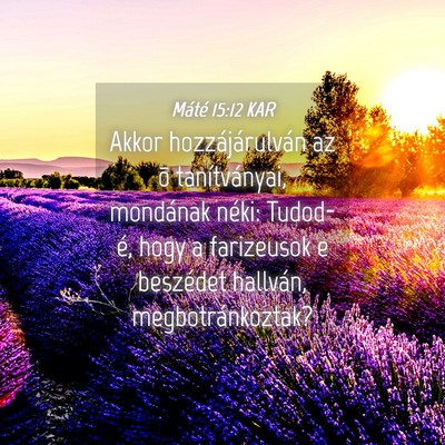 Picture 04 - Máté 15:12 KAR - Akkor hozzájárulván az õ tanítványai, - Bible Verse Picture