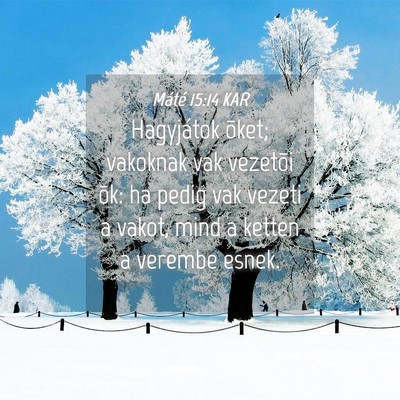 Picture 04 - Máté 15:14 KAR - Hagyjátok õket; vakoknak vak vezetõi õk: ha - Bible Verse Picture