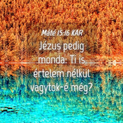Picture 04 - Máté 15:16 KAR - Jézus pedig monda: Ti is értelem nélkül - Bible Verse Picture
