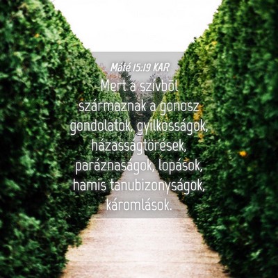 Picture 04 - Máté 15:19 KAR - Mert a szívbõl származnak a gonosz gondolatok, - Bible Verse Picture