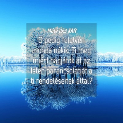Picture 04 - Máté 15:3 KAR - Õ pedig felelvén monda nékik: Ti meg miért - Bible Verse Picture