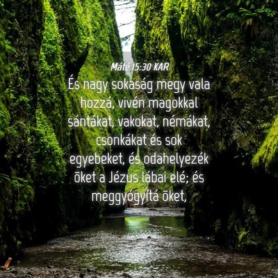 Picture 04 - Máté 15:30 KAR - És nagy sokaság megy vala hozzá, vivén - Bible Verse Picture