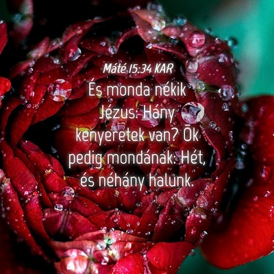 Picture 04 - Máté 15:34 KAR - És monda nékik Jézus: Hány kenyeretek van? - Bible Verse Picture