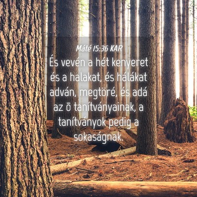 Picture 04 - Máté 15:36 KAR - És vevén a hét kenyeret és a halakat, és - Bible Verse Picture