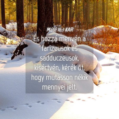 Picture 04 - Máté 16:1 KAR - És hozzá menvén a farizeusok és sadduczeusok, - Bible Verse Picture