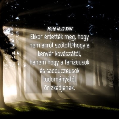 Picture 04 - Máté 16:12 KAR - Ekkor értették meg, hogy nem arról szólott, - Bible Verse Picture