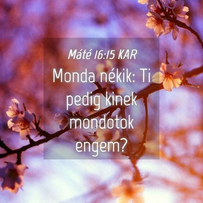 Picture 04 - Máté 16:15 KAR - Monda nékik: Ti pedig kinek mondotok - Bible Verse Picture