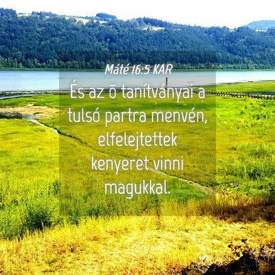 Picture 04 - Máté 16:5 KAR - És az õ tanítványai a tulsó partra menvén, - Bible Verse Picture