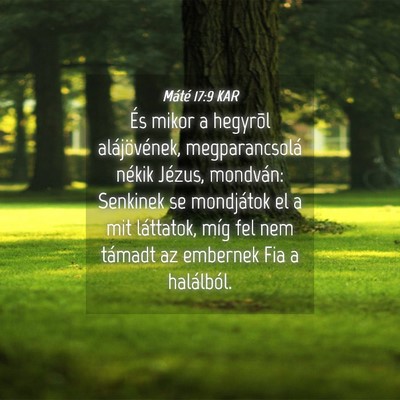 Picture 04 - Máté 17:9 KAR - És mikor a hegyrõl alájövének, - Bible Verse Picture
