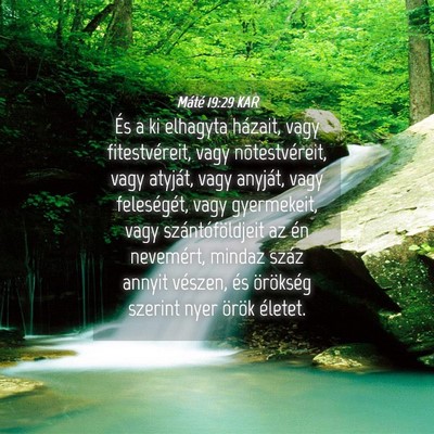 Picture 04 - Máté 19:29 KAR - És a ki elhagyta házait, vagy fitestvéreit, - Bible Verse Picture