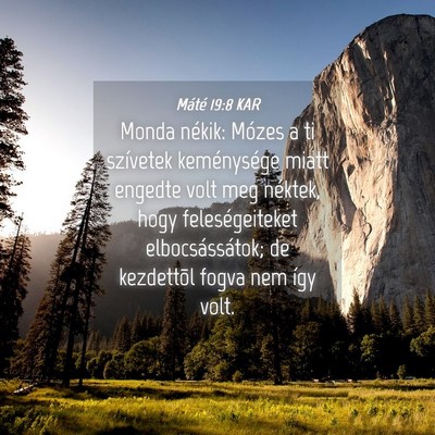 Picture 04 - Máté 19:8 KAR - Monda nékik: Mózes a ti szívetek keménysége - Bible Verse Picture