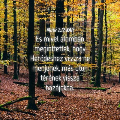 Picture 04 - Máté 2:12 KAR - És mivel álomban meginttettek, hogy Heródeshez - Bible Verse Picture