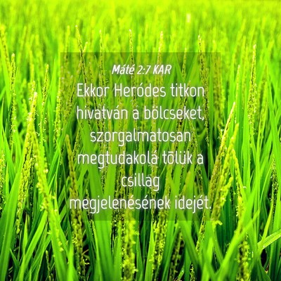 Picture 04 - Máté 2:7 KAR - Ekkor Heródes titkon hivatván a bölcseket, - Bible Verse Picture