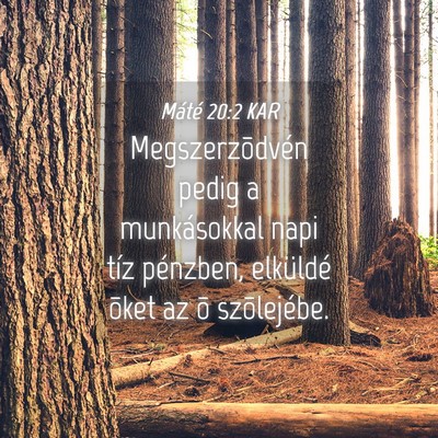 Picture 04 - Máté 20:2 KAR - Megszerzõdvén pedig a munkásokkal napi tíz - Bible Verse Picture