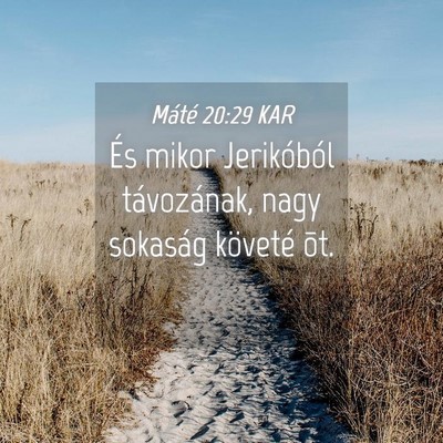 Picture 04 - Máté 20:29 KAR - És mikor Jerikóból távozának, nagy sokaság - Bible Verse Picture