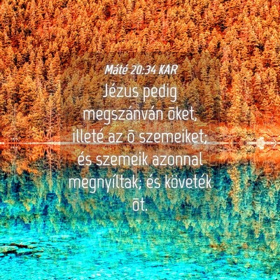 Picture 04 - Máté 20:34 KAR - Jézus pedig megszánván õket, illeté az õ - Bible Verse Picture