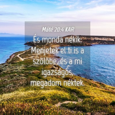 Picture 04 - Máté 20:4 KAR - És monda nékik: Menjetek el ti is a szõlõbe, - Bible Verse Picture