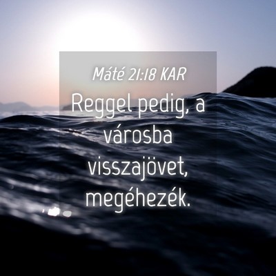 Picture 04 - Máté 21:18 KAR - Reggel pedig, a városba visszajövet, - Bible Verse Picture