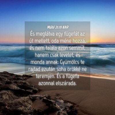 Picture 04 - Máté 21:19 KAR - És meglátva egy fügefát az út mellett, oda - Bible Verse Picture