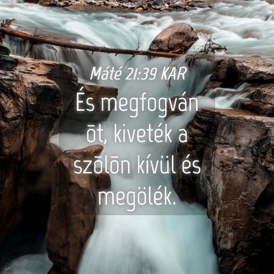 Picture 04 - Máté 21:39 KAR - És megfogván õt, kiveték a szõlõn kívül - Bible Verse Picture